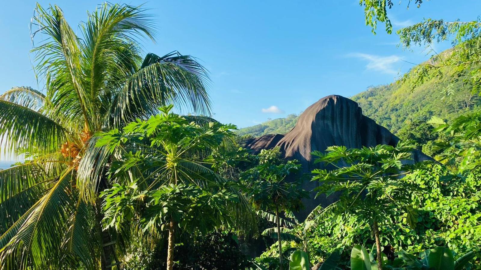 Josies Cottage Beau Vallon  Dış mekan fotoğraf